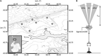 Antarctic Krill Biomass and Flux Measured Using Wideband Echosounders and Acoustic Doppler Current Profilers on Submerged Moorings